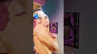 Curved LED screen module installation tutorial #leddisplay #ledwall #ledscreen #ledmodule #eagerled