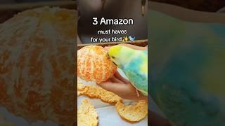 3 AMAZON Bird toys 