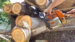 HIPA Chain | Stihl 036 Stock vs Ported