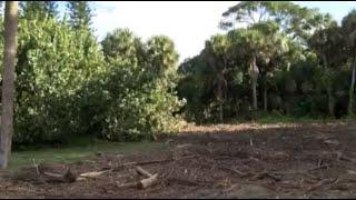 Work underway on new park in Boca Raton