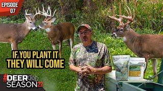 The Four MOST IMPORTANT Steps To Growing The Perfect Green Plot With Mark Drury | Deer Season '22