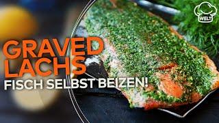 GRAVED LACHS: Selbst gebeizter Lachs! So einfach geht's | WELT Rezepte