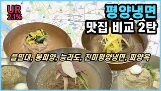 [평양냉면 맛집 방문기] 평양냉면 맛집 9 곳을 다녀왔습니다! 2탄 | 을밀대 | 봉피양 | 능라도 | 진미평양냉면 | 피양옥 Korean Cold Noodle Restaurant