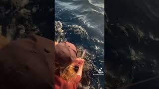 Just casually releasing 60lb tunas #viral #fishing #fish #official #tuna