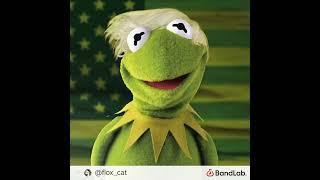 Gay Frog (Trump Ver.)