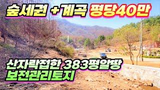 (양평토지매매)NO.22293 평단가 40만원 숲세권토지 383평알땅 /지목임야, 보전관리지역,완경사,구거접,2차선도로130미터/ 양평다온부동산 010-7124-7807