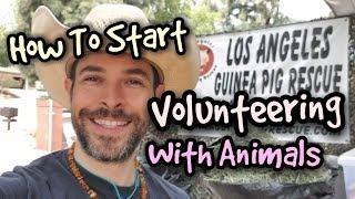 How to Start Volunteering with Animals