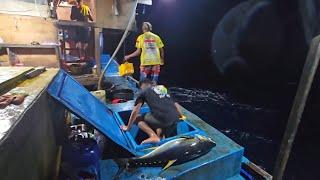 mencoba keberuntungan mancing di rumpon bersama nelayan tuna tradisional