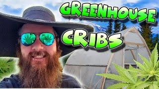 "CRIBS" CANNABEARDS NEW GREENHOUSE TOUR - MAY 2021