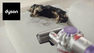 The new Dyson V8™ cordless vacuum. Powerful and low noise.