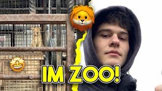 Ich war in einem russischen ZOO  // Vlog #003