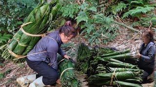 Gardening, growing green mulberry and harvesting seaweed leaves to sell, earning extra income