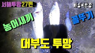 서해투망27편/대부도 투망으로 농어새끼 2마리 꼴뚜기1마리   [화성이반장]