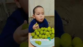 16 ноября 2024 г.