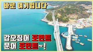 차박 후 1분만에 낚시가 가능한 곳~!(녹동항  낚시 전 시청 필수!!!)