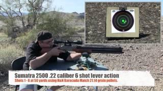 Sumatra 2500 .22 airgun review by AirgunWeb