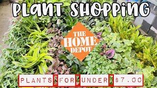 Plant Shopping at Home Depot || PLANTS FOR UNDER $7.00