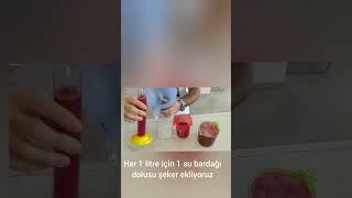 En Basit, Karpuz  Şarabı  Yapımı