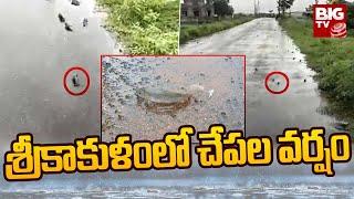 శ్రీకాకుళంలో చేపల వర్షం | Fish Rain in Srikakulam | Big TV Telugu