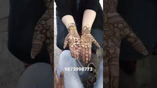 #best design Mehandi Aman mehandi design 9873998773