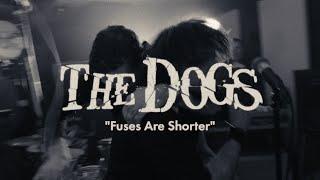 The Dogs - Fuses are Shorter