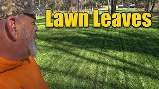 Leaves on Lawn Mulch or Pickup