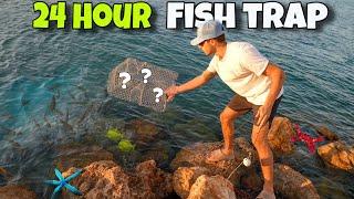 Catching SALTWATER AQUARIUM FISH In 24 HOUR FISH TRAP!!