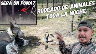 Rodeado De Animales Toda La Noche! 