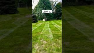 Perfect lawns  #landscaping #work #professional #grass #lawns #mowing #strips