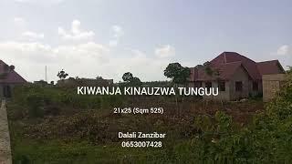 KIWANJA KINAUZWA TUNGUU ZANZIBAR  (Sqm 525) Bei Tsh M 13.5 (0653007438)