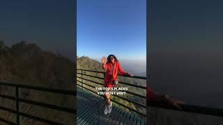 5 Places You Must Visit In Kasauli, Himachal Pradesh | Curly Tales #shorts