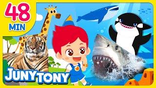 Animal Songs Compilation | Shark, Tiger, Animal Poo Poo Song +More | Kids Songs | JunyTony