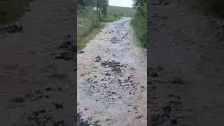 Rzeszów po ulewach część 1