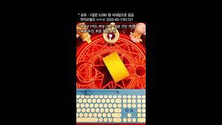 20241112 타로 실시간 운세  Live Tarot Reading 塔罗占卜