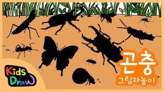 우리 아이가 좋아하는 곤충 그림자놀이 | 곤충 퀴즈 맞추기 |  10가지 다양한 벌레를 만나보아요 |  Insects Quiz for Children | 키즈드로우