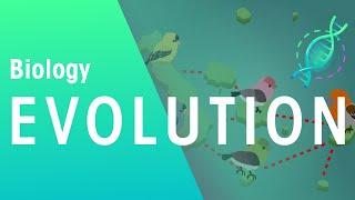 Evolution by Natural Selection - Darwin's Finches | Evolution | Biology | FuseSchool