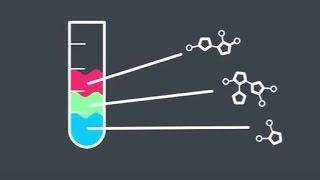 Naturwissenschaften studieren an der Universität Stuttgart