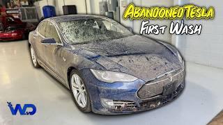 ABANDONED Tesla Left Outside To ROT! | First Wash in Years!