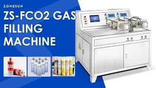 Zonesun ZS-FCO2 CO2 Filling Machine #co2refill #gasfillingmachine