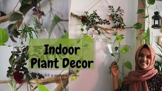 Indoor Plant Decor | Wall Decoration Idea | Malayalam