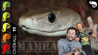 Black Mamba, The Best Pet Snake?