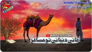 Birhavi Naat status || فانی دنیا نی تو مسافر// Naat status Ns