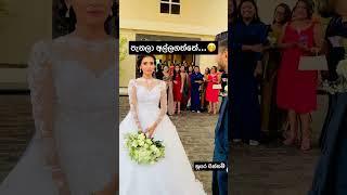 පැනලා අල්ලගත්තේ...irukshi & lahiru wedding day