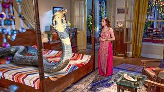 नागराज के लिए दूध लेकर आई इच्छा | Icchapyaari Naagin | New Naagin Serial 2024