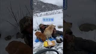 In cold weather, homeless man hugs his golden retriever to keep each other warm