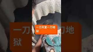 精品美貨。|緬甸翡翠|原石|翡翠|玉石|翡翠台|宝石|玉器|珠寶|項鏈|手鐲|首飾|直播室|古玉