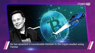 Elon Musk Show | Tip of the Cryptoberg