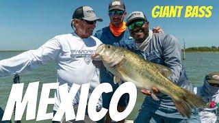 My two "PB"s in MEXICO-10lbs Giant Bass/1,500 plus Dove hunt