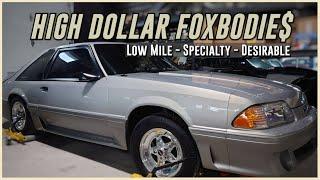 2023 Foxbody Project Lineup = SALEEN, Calypso Notch & Low-Mile GT