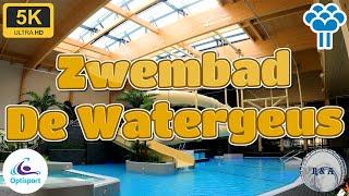 Zwembad De Watergeus Zoetermeer Optisport NEW 2024 5K